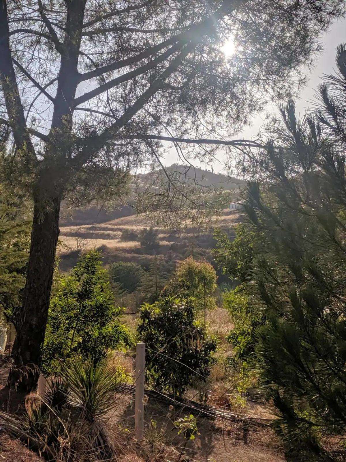 Quinta Shangri-La Silves Buitenkant foto